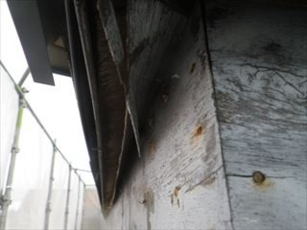 神戸市須磨区　K様邸　外壁塗装屋根葺き替え工事　野地板の剥がれサムネイル