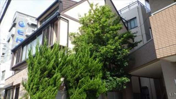 外壁にあたっている木の枝をはらいます　神戸市垂水区MM様邸塗装工事サムネイル